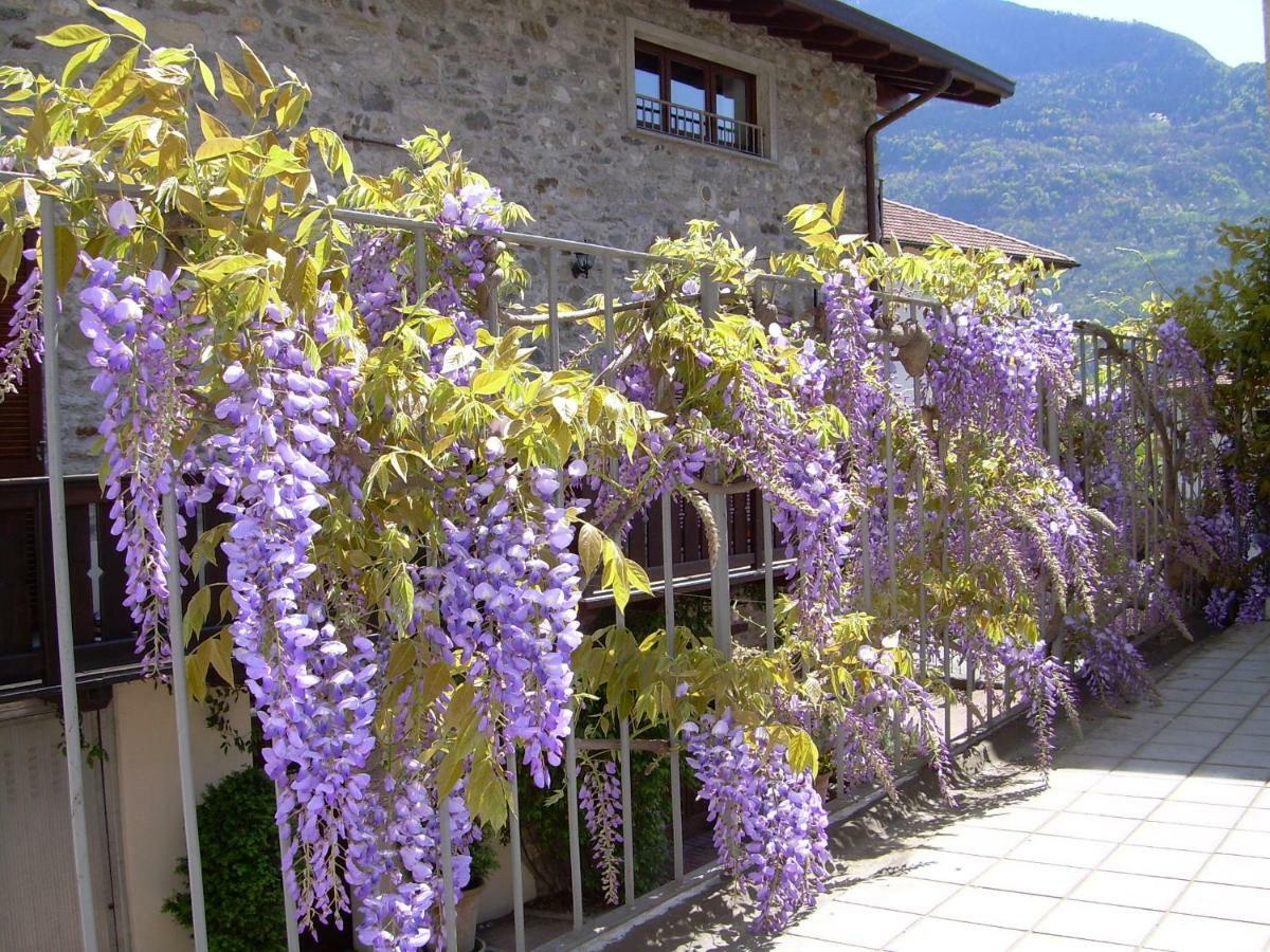 Residenza Antica Corte Villa Picta Buglio in Monte Екстер'єр фото