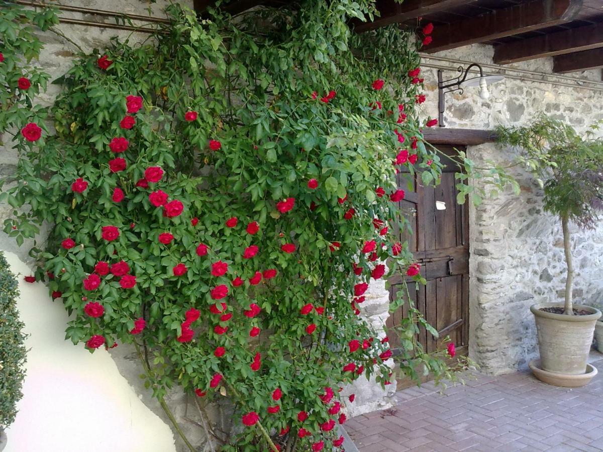 Residenza Antica Corte Villa Picta Buglio in Monte Екстер'єр фото